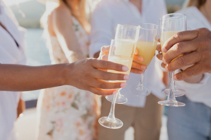 Group of people clinking champagne glasses at a sunny outdoor gathering.