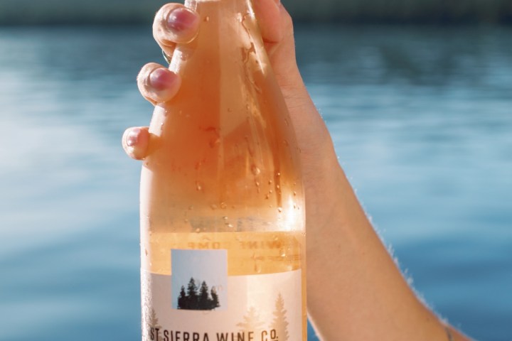 Person holding a bottle of rose wine against a lake and mountains background.